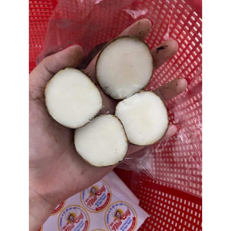 1 kg củ năng - củ mã thầy ( hàng tươi mới mỗi ngày)