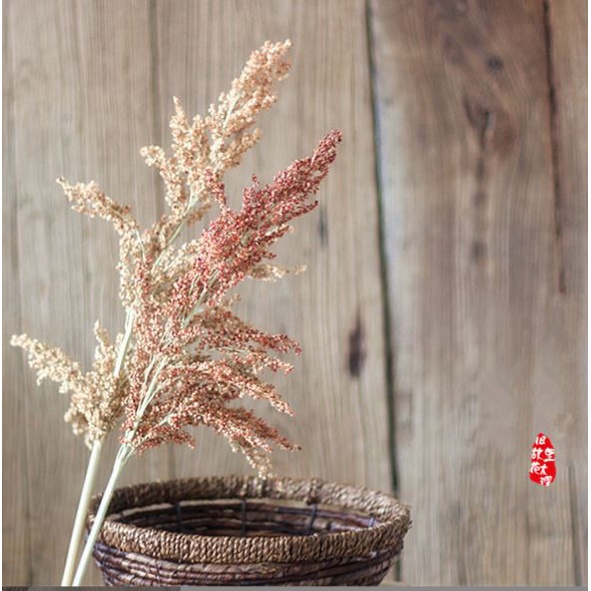Bông Cao Lương Khô Cành To Phong Cách Cổ Điển