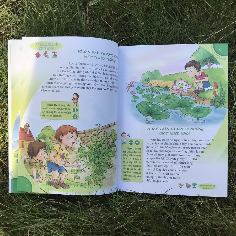[Mã LIFE5510K giảm 10K đơn 20K] Sách - 10 Vạn câu hỏi vì sao - Cây cỏ, lá và hoa | BigBuy360 - bigbuy360.vn