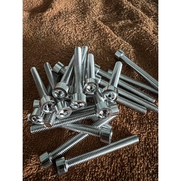 ốc inox salaya 304 6x40 6ly40 lắp gù
