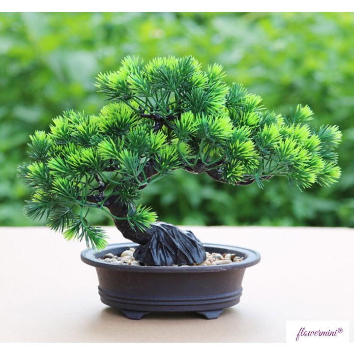 Cây thông giả, chậu cây cảnh bonsai trang trí để bàn, kệ tủ xanh mát tự nhiên CT-03
