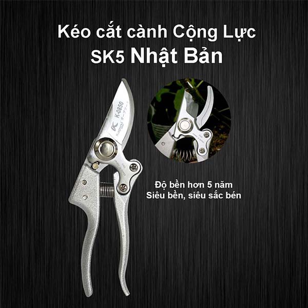 Kéo Cắt Cành Cộng Lực SK5 Nhật Bản