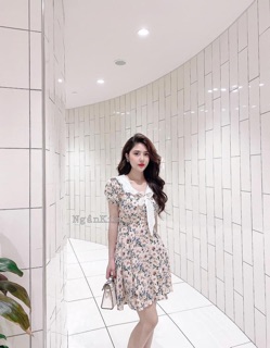 Đầm hoa xoè cổ bèo