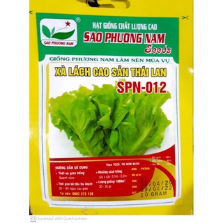 10 gam Hạt Giống Xà Lách Đà Lạt Cao Sản