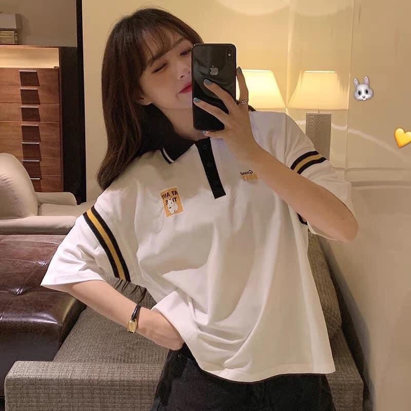 Áo Polo Nữ Rabbit Phối Màu Cộc Tay 🦋 Áo Thun Nữ Cổ Bẻ Dáng Rộng Ngắn Tay 2 Màu 🦋