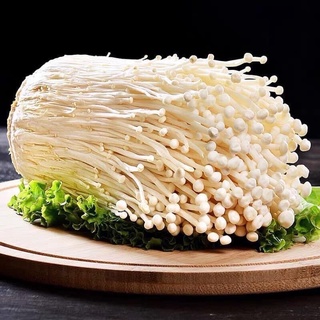 Nấm kim châm