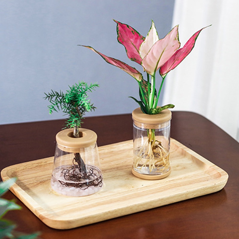 Chậu Trồng Cây Thủy Canh Trong Suốt Bằng Nhựa Resin 2023