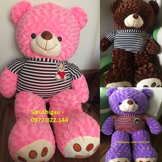 Quà Tặng ❤️ Gấu bông Teddy m2 (Có nhiều màu) - Gấu Teddy khổ 1m2