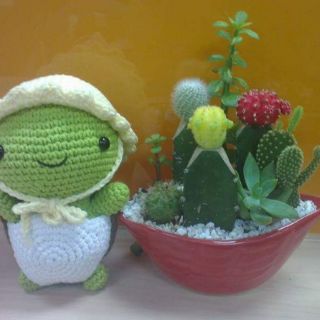 Rùa con handmade bằng len