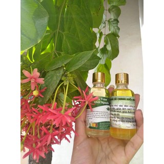 Combo tinh dầu tràm cho khách