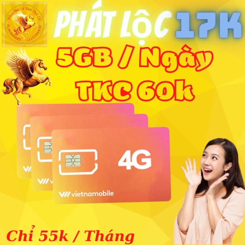 Sim VNMB 5GB/ Ngày Phát lộc, có 150GB Tốc Độ Cao/ tháng - Tài Khoản Chính 60.000đ, Gọi Liên Mạng, Gọi Nội Mạng Free