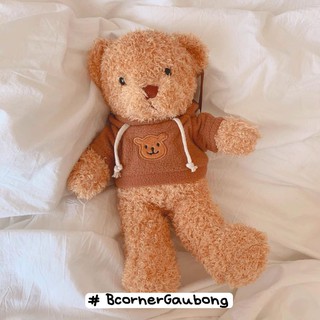 Gấu Bông Mặc Áo Hoodie