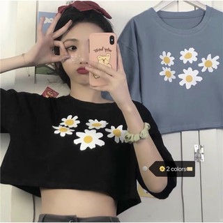 Áo croptop hoa cúc form rộng thun cotton - Z5U