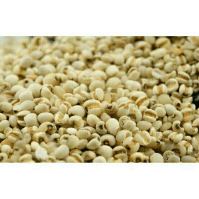 Sỉ giá gốc 1kg hạt ý dĩ