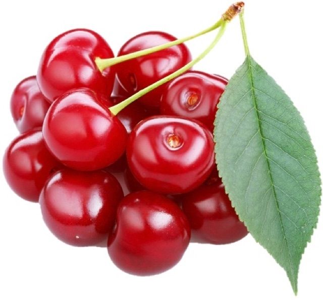 Hạt giống Anh đào (Cherry) (5 hạt) ĐẾN MÙA TRỒNG TẾT