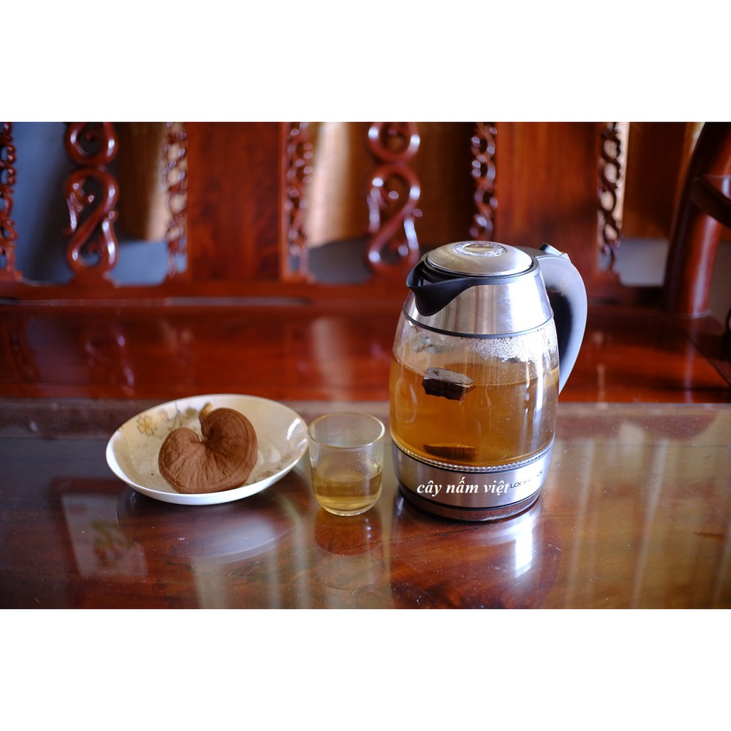 Nấm linh chi đỏ Việt Nam nguyên bào tử dễ uống - Cây Nấm Việt | BigBuy360 - bigbuy360.vn