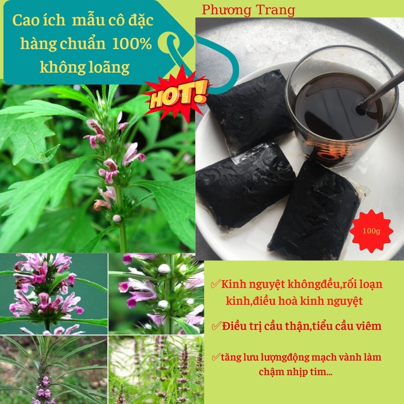 Cao ích mẫu cô đặc 100g