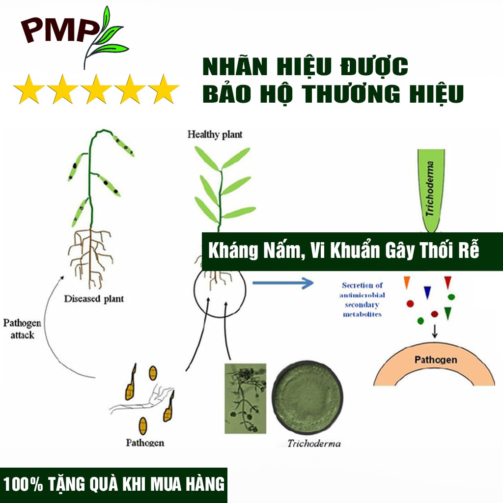 Nấm Trichoderma PMP Nấm Đối Kháng Phòng Thối Rễ, Ủ Phân Hữu Cơ Từ Rác Thải Hữu Cơ 100g