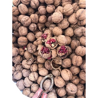 HẠT ÓC CHÓ NHẬP KHẨU - 500G