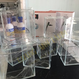 Hồ Show Guppy Betta