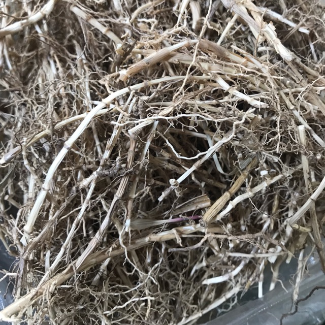 Rễ cỏ tranh (1kg)