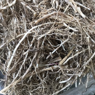Rễ cỏ tranh (1kg)