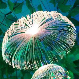 Đèn Led Dạng Sợi Quang Hình Con Sứa Độc Đáo