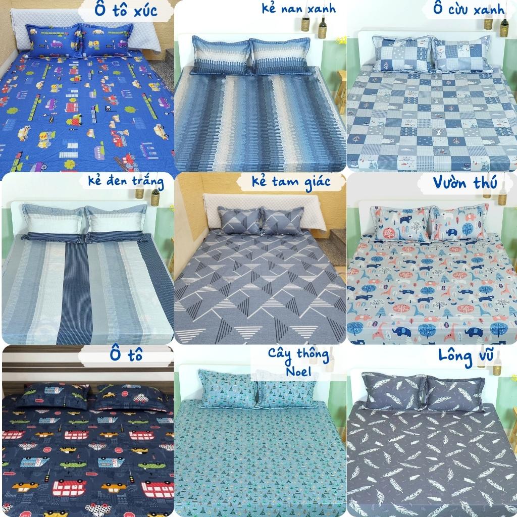 Bộ ga gối cotton Hàn Quốc cao cấp, ga chun đủ size đệm 1m2 1m6 1m8 2m2 Dreamhomebedding | BigBuy360 - bigbuy360.vn