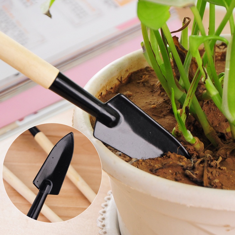 Bộ Cuốc Xẻng Mini Trồng Cây Cảnh - Dụng Cụ 3 Món Chăm Sóc Cây Cảnh Bonsai, Làm Vườn, Chăm Xương Rồng