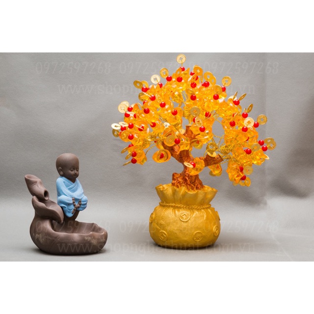 Cây kim tiền tài lộc