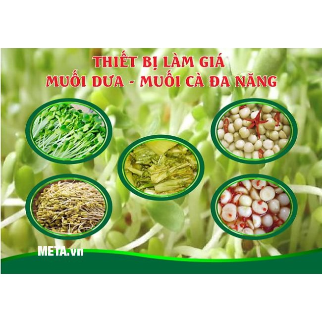 [ SALE CHÍNH HÃNG ] Thiết bị làm giá đỗ dưa hành dưa cà Bách Khoa BKIDT 2016 H3C STORE