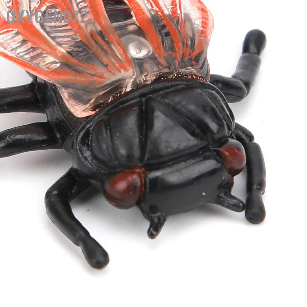 Oxygen072 Cicada Insect Model Highly Simulation Children Kids Ornament Decoration