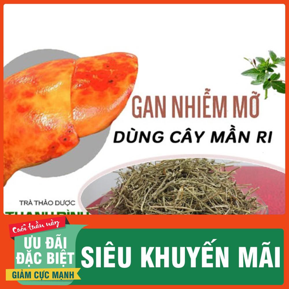 Cây Mần Ri Khô 500Gr - Hàng Công Ty Chất Lượng - Thảo Dược Thanh Bình