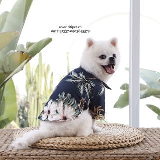 Áo Sơ Mi Cho Thú Cưng Siêu Cưng ♥️