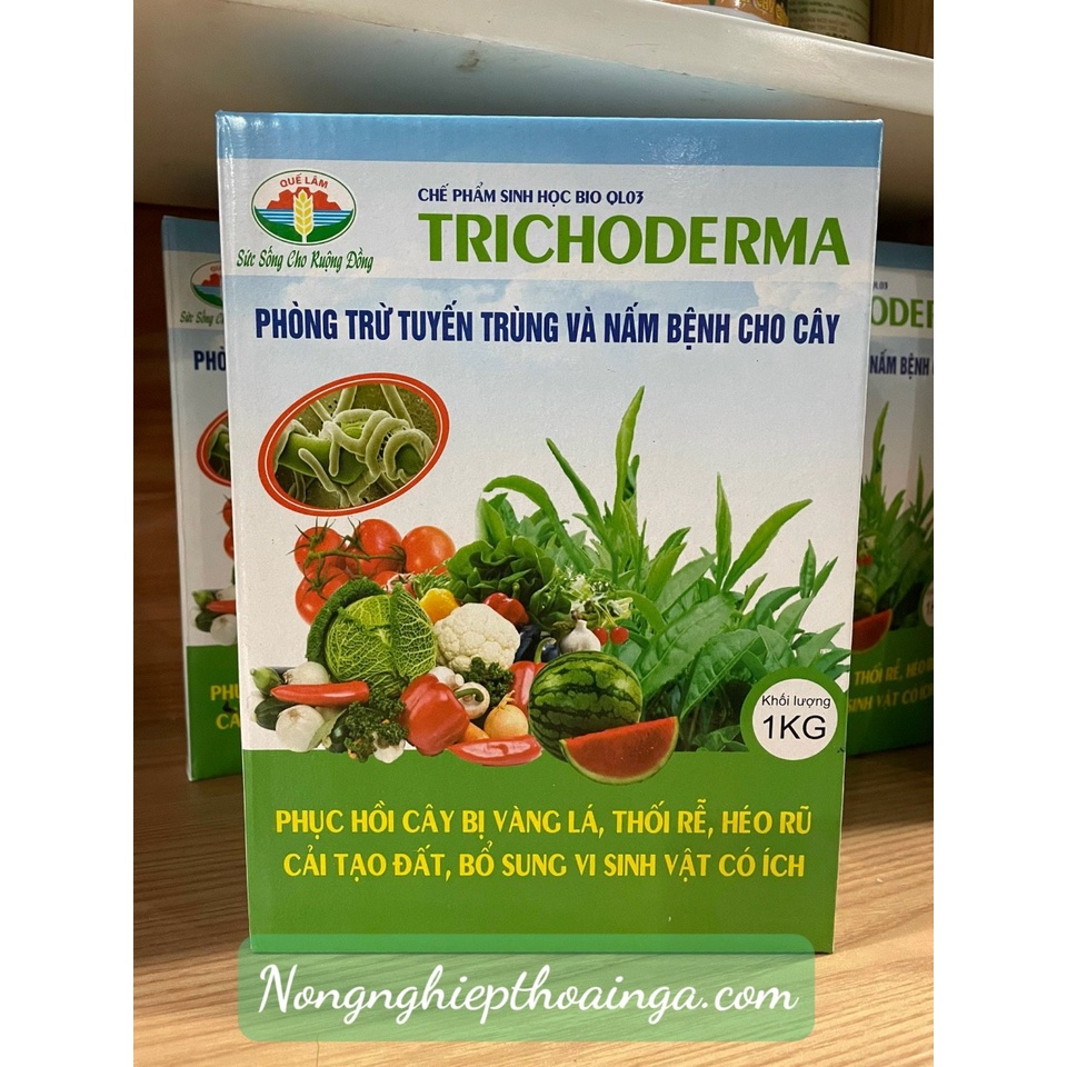 Chế phẩm vi sinh Trichoderma Quế Lâm  - Đ.ặc t.rị thối gốc, thối rễ, vàng lá, héo rũ hoa cây cảnh