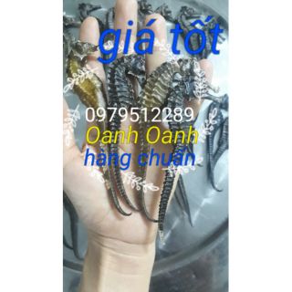 Cá ngựa khô 2 con