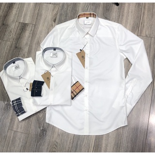 Áo sơ mi trắng dài tay Santiano phối cổ bbr vải lụa thoáng mát không nhăn