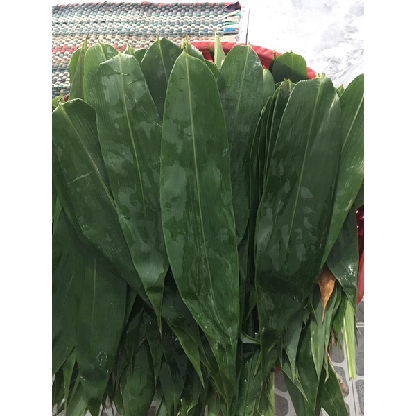 Lá tre tươi 100gram