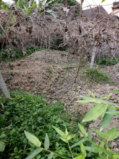 Combo 2kg bột sắn dây ta tự làm nguyên chất thanh nhiệt cơ thể, đẹp da, trắng da