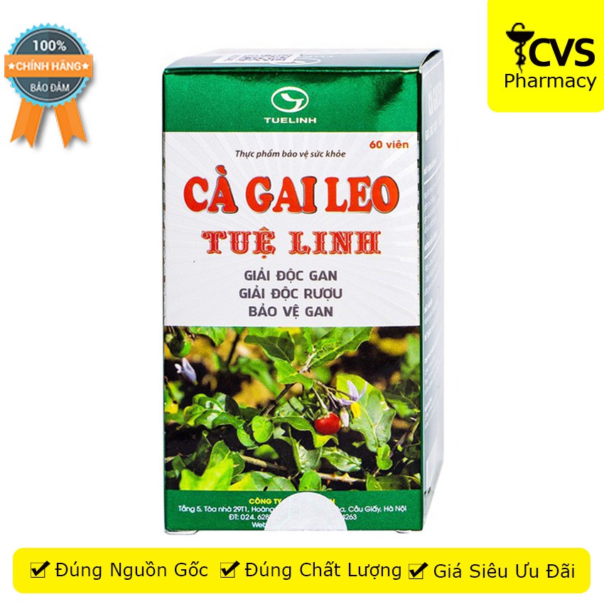 Cà Gai Leo Tuệ Linh (Hộp 60 viên) - Giúp Bảo Vệ Và Phục Hồi Tế Bào Gan - cvspharmacy