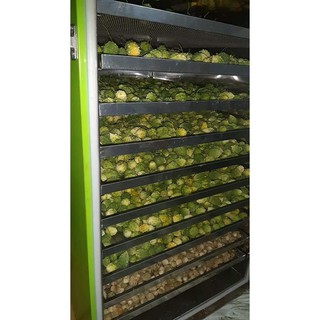 Máy sấy Mắc Ca (LH: 09.1234.2772)