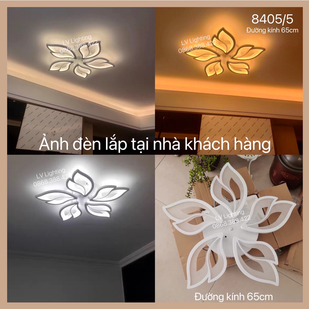 Đèn trần trang trí phòng khách - phòng ngủ nhiều mẫu mã và kích thước