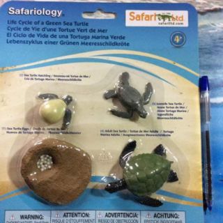 Mô hình vòng đời Safari (Mỹ)