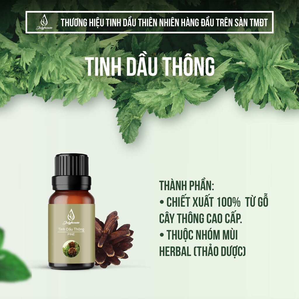 [Mã LIFEM1 giảm 50k đơn 99k] Tinh dầu Thông Julyhouse 10ml