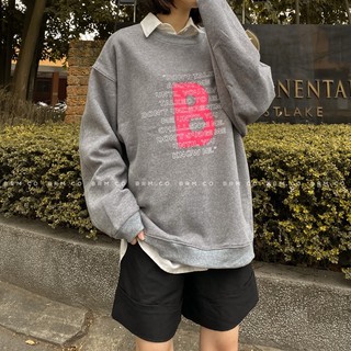 ÁO BASIC SWEATER “ B “