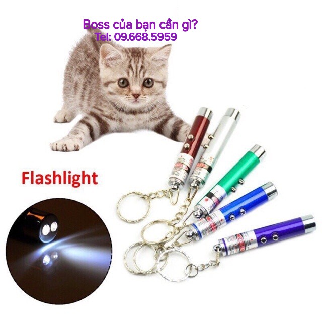 Đèn laze trêu mèo - Đèn lazer