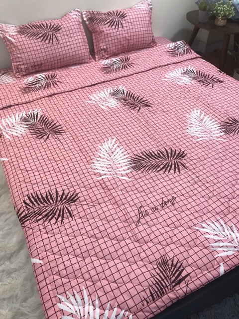 Set ga gối chăn hè