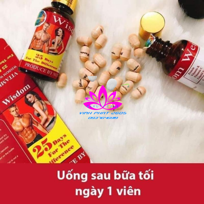 Không Bán Nhái Tăng Cân Wisdom Indonesia hộp 25 viên