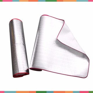 chiếu văn phòng - chiếu văn phòng _MHS