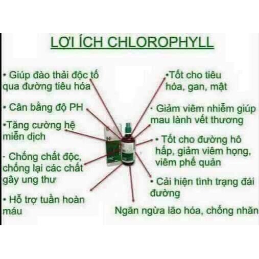 [ Date T11/24 ] Nước diệp lục - KLink  diệp lục Klink Liqid Chlorophyll Malay sia - 500 ML/Chai